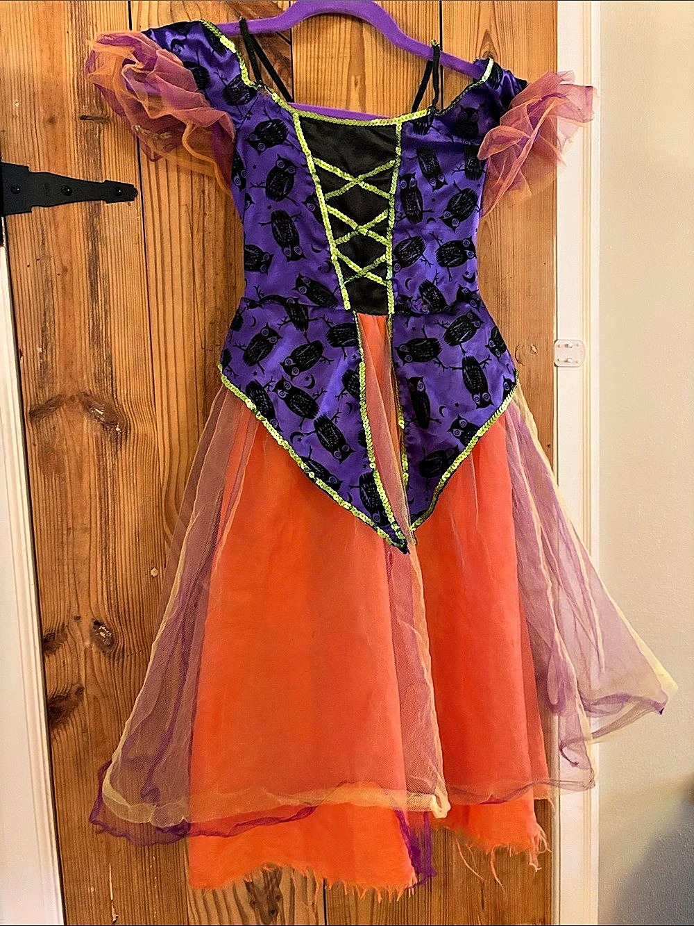 Rubie's Girls Purple and Orange Owl Halloween Costume Dress with Owl Witches Hat